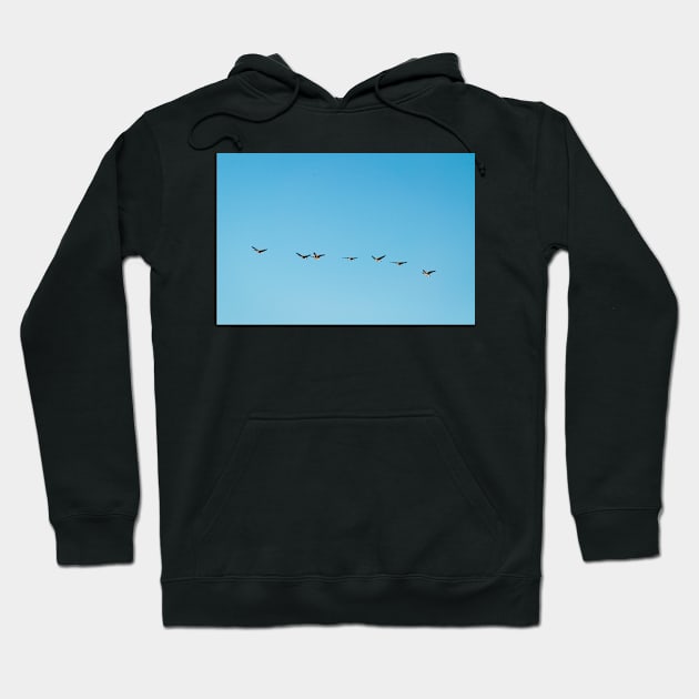 Chain of Geese Hoodie by gdb2